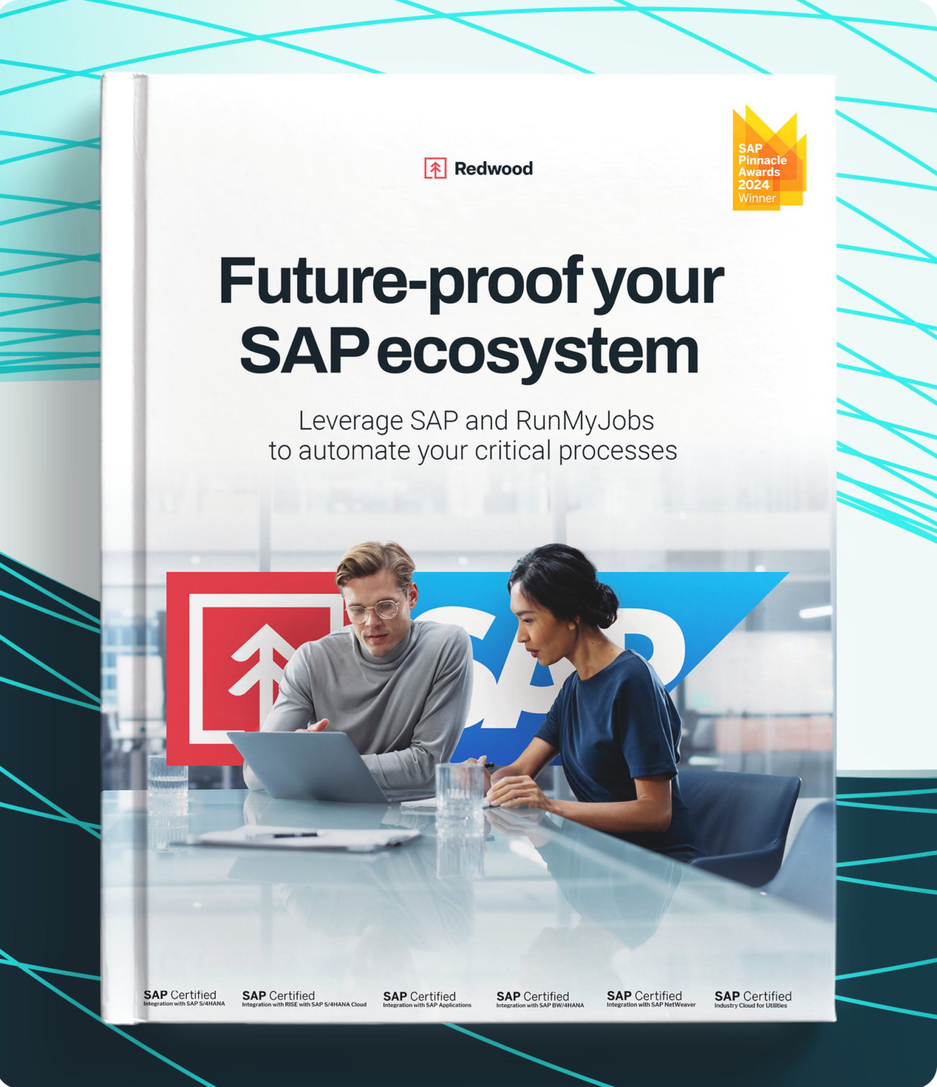 Future-Proof Your SAP Ecosystem with RunMyJobs