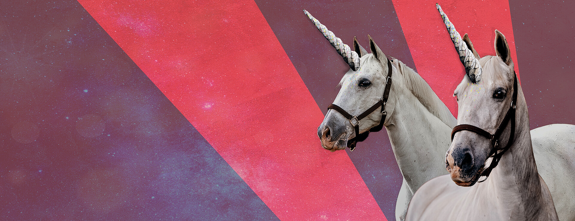 Process Automation For Unicorns — The Secret To Billion-Dollar Success? 1 Unicorn Banner